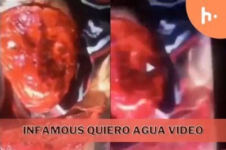 Quiero Agua Video Original Full: Everything You Need to Know About the Viral Hit