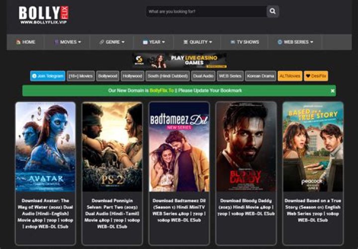 www.bollyflix.com 2024: Your Ultimate Guide to Bollywood Movies and Series